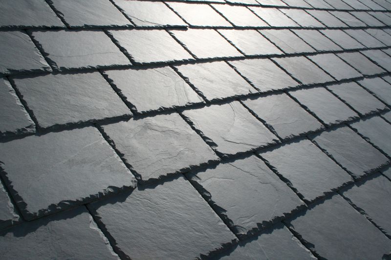 Slate Patio Restoration